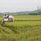 Hình ảnh về phát triển kinh tế, xã hội của địa phương